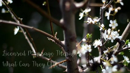 Licensed Massage Therapist: What Can They Offer?