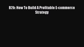 Read B2b: How To Build A Profitable E-commerce Strategy Ebook Free