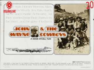 Top 20 Kovboy Filmler imdb