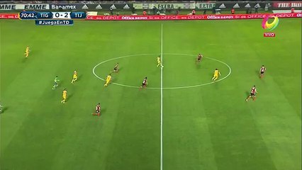 Gignac'tan kaleciyi çaresiz bırakan gol!
