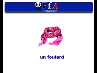 Download Video: apprendre le français facilement avec Français Facile Authentique - les vetements femme