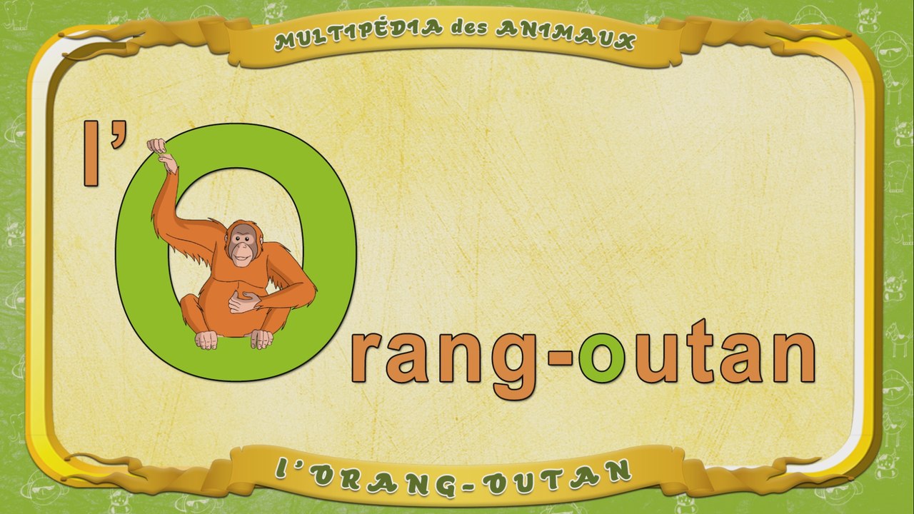 Multipédia des animaux. La lettre O - l'Orang-outan