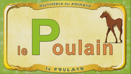 Multipédia des animaux. La lettre P - le Poulain