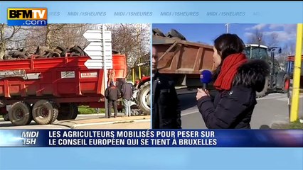 Agriculteurs en colère: la FRSEA veut "que ce nouveau gouvernement se bouge"