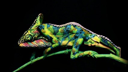 Chameleon - L'art de la Transformation - Fine Art Bodypainting by Johannes Stötter