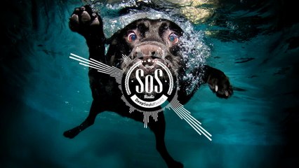 Footprints (Kaaze Remix) MASTER