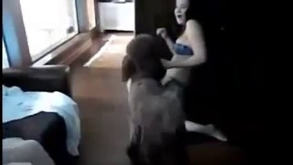 Funny dog with sexy girl.