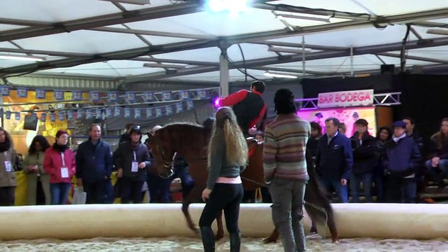 Congrès FFE Spectacles Club 2016 - La voltige sur le cercle