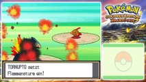 Lets Play Pokémon Heartgold Part 37: Route 44 & der Eispfad!