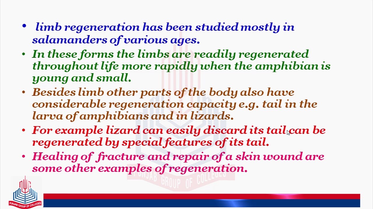 Regeneration & Examples of Regeneration