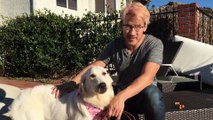 Markiplier Gets A PUPPY!!