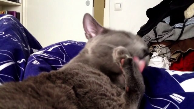 Посмотрите обязательно! Улыбка гарантирована