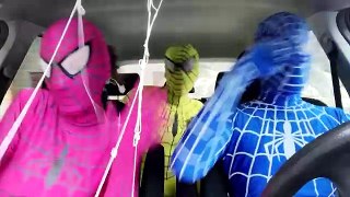 Blue Spiderman with Pink Spidergirl Dancing in a Car - Superhero Funny Movie in Real Life
