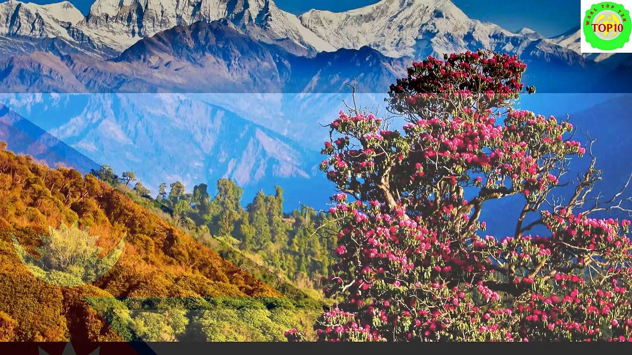 12 Countries Where You Can Get The Best Value Of Indian Rupee