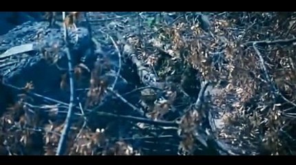 바카라테이블ぴ＼＼【KOP77。COM】＼＼み월드카지노바카라사이트주소