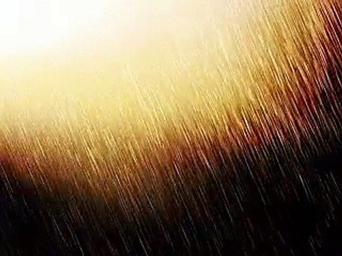 College girl dance hot dance PAKISTANI MUJRA DANCE Mujra Videos 2016 Latest Mujra video upcoming hot punjabi mujra latest songs HD video songs new songs