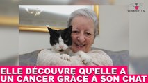 Elle découvre qu'elle a un cancer grâce à son chat ! L'incroyable maintenant dans la minute chat #130