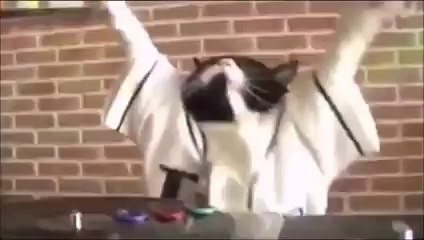 Kitty is DJing in 2016, super hit!