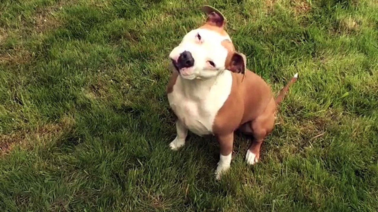 Coaching ou Mentoring Programs  - e survey fr