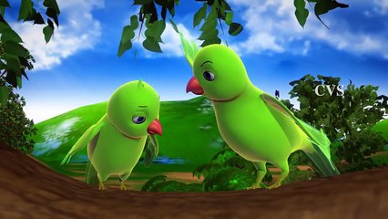 Chitti Chilakamma Parrots 3D Animation Telugu Rhymes for children with lyrics