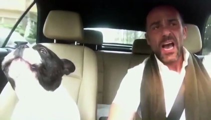 Şarkı Söyleyen Sahibine Eşlik Eden Müthiş Yetenekli Köpek