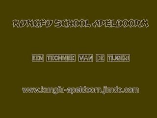 Tijger, Ng Ying Kungfu Apeldoorn