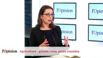 Agriculture : grande crise, petits remèdes