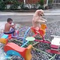 Hows Looking this dog rocking with Child at park