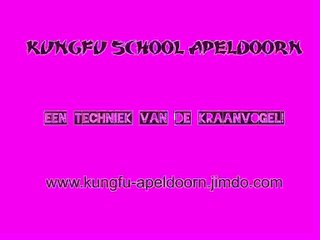 Kraanvogel van de Ng Ying Kungfu Apeldoorn