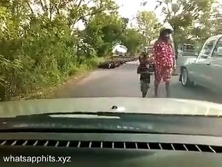 Big flow from ducks refugees