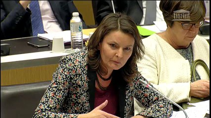 "Comment remédier au manque de contrôle parlementaire sur les investissements d'avenir dans la transition écologique?"