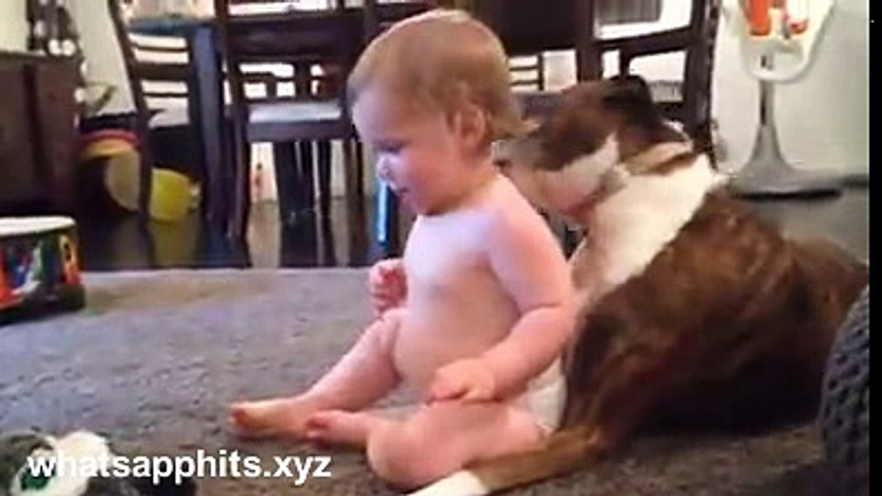 A child and dog interaction