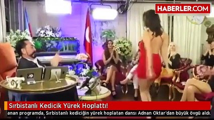 Sırbistanlı Kedicik Yürek Hoplattı!