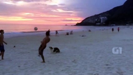 Sizden Daha İyi Topu Yere Düşürmeme Oyunu Oynayan Köpek