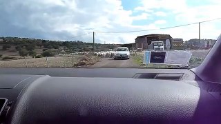 Modern sardinian shepherd on Alfa Romeo