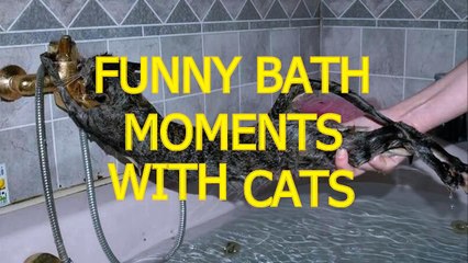 Cats just don't want to bathe - Funny cat bathing compilation