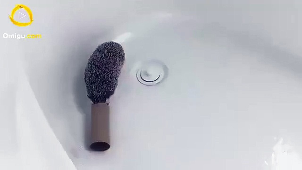 Must Watch