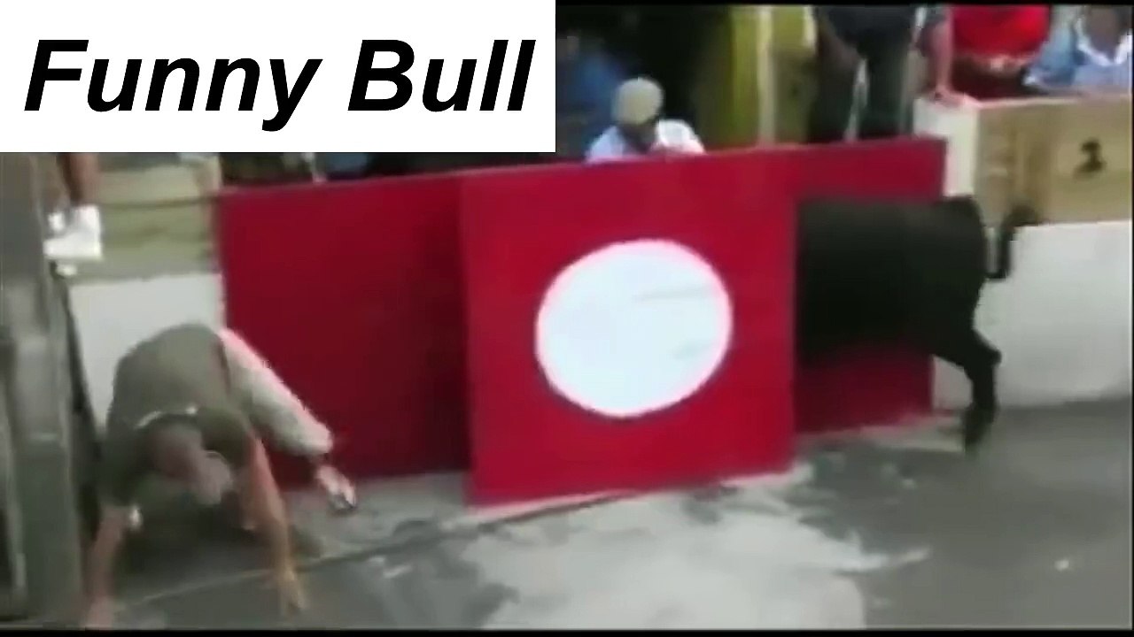 BULL FIGHT