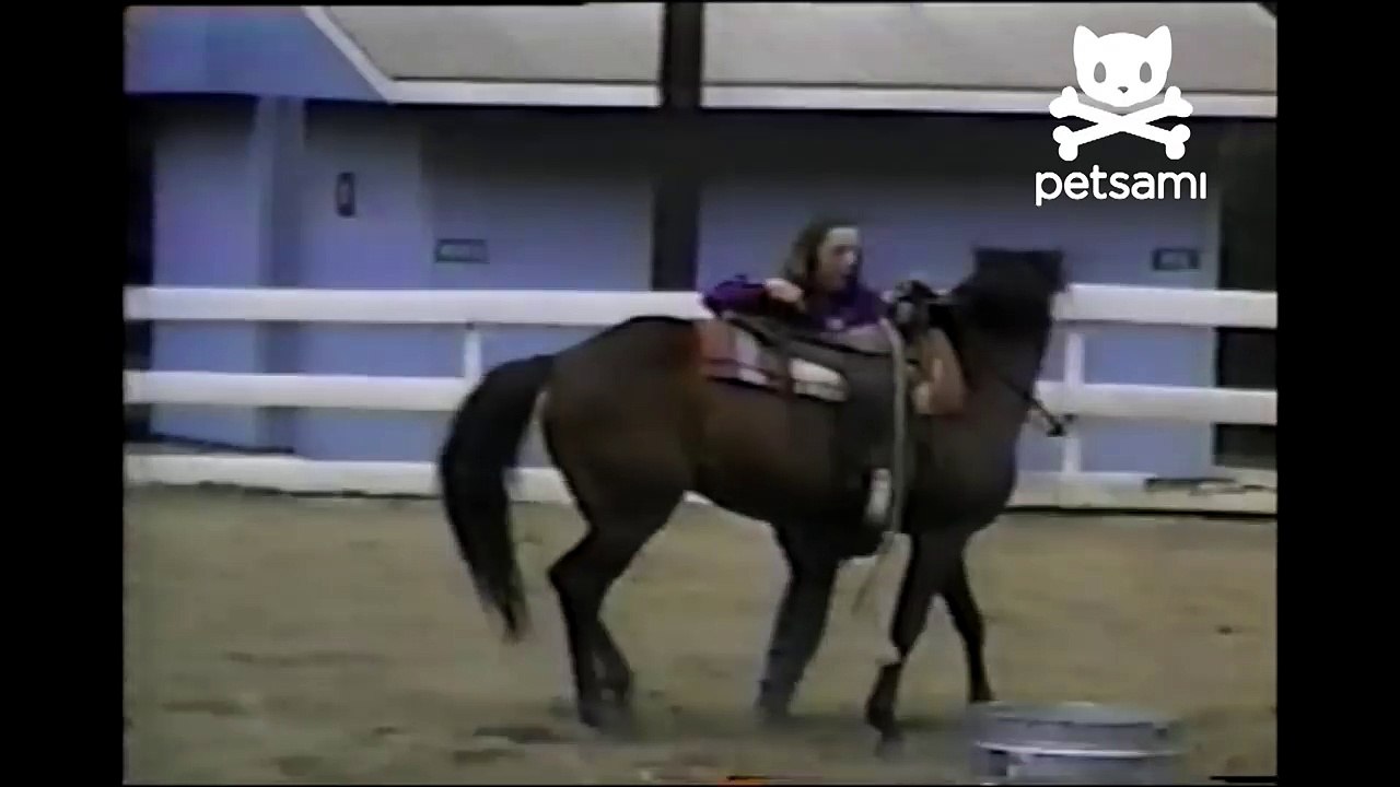 Girl accidentally becomes rodeo clown