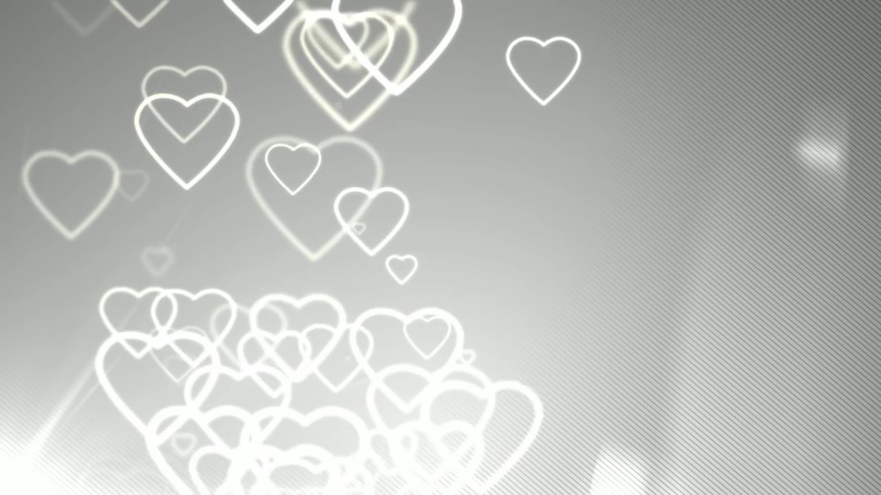 Video Background HD - Wedding HD - Footage HD