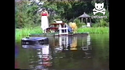 Just a dog relaxing, on an inner tube, in a lake.