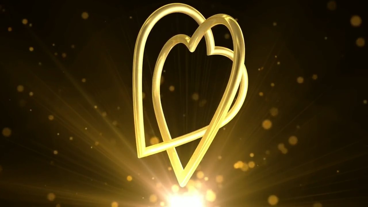 Video Background HD - Wedding HD - Footage HD