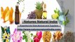 Organic Bulk Essential Oils at Natures Natural India!!