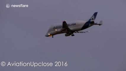 Huge airbus 'Super Transporter' makes emergency landing in Liverpool