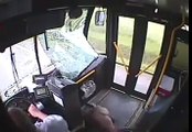 ▶ Increíble incidente entre un ciervo y un autobús
