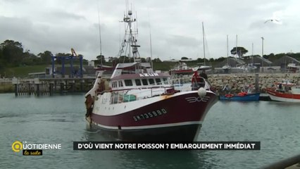D'où vient notre poisson ? Embarquement immédiat