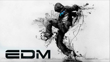New Electro & House 2013 Best Of EDM Mix_120