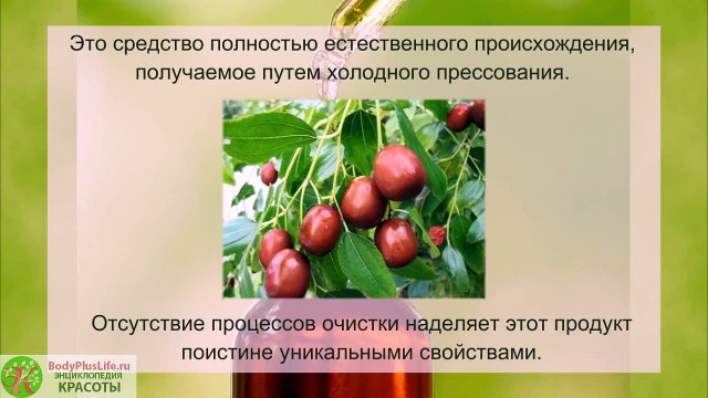 Масло жожоба для лица. МАСКИ для лица с маслом жожоба