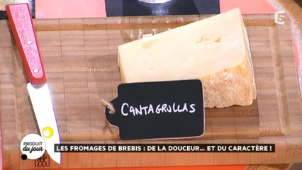 Les fromages de brebis : de la douceur...et du caractère !
