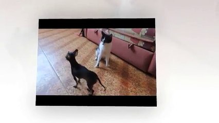 Неожиданный финал